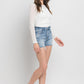 Vervet by Flying Monkey High Rise Denim Shorts