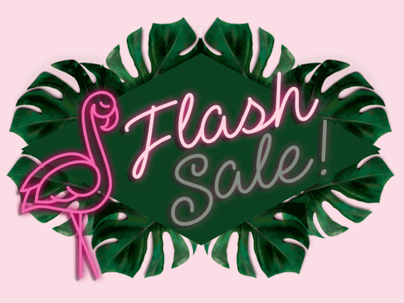 MyGoodyShop.com Flash Sale